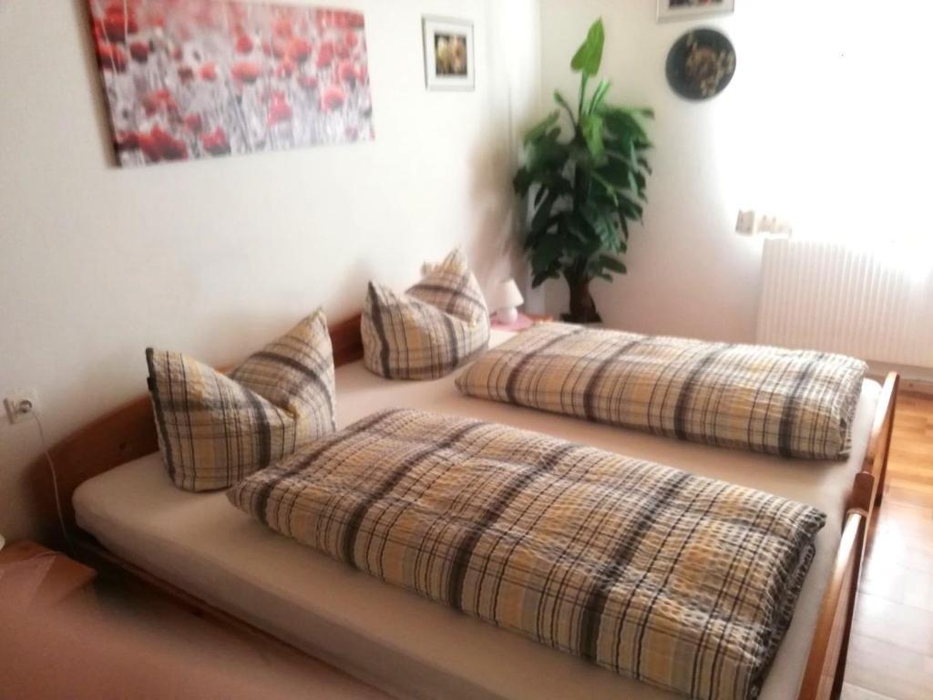 Haring Homestay