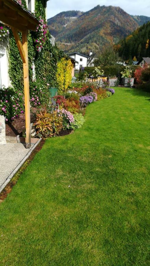 Haring Homestay Hollenstein an der Ybbs
