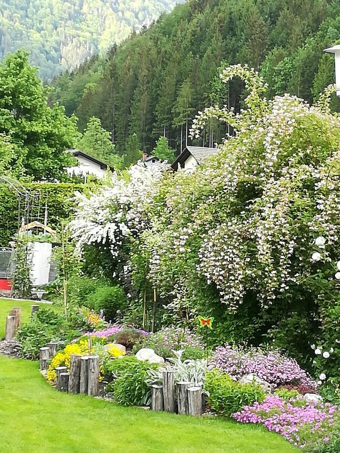Homestay Haring Hollenstein an der Ybbs