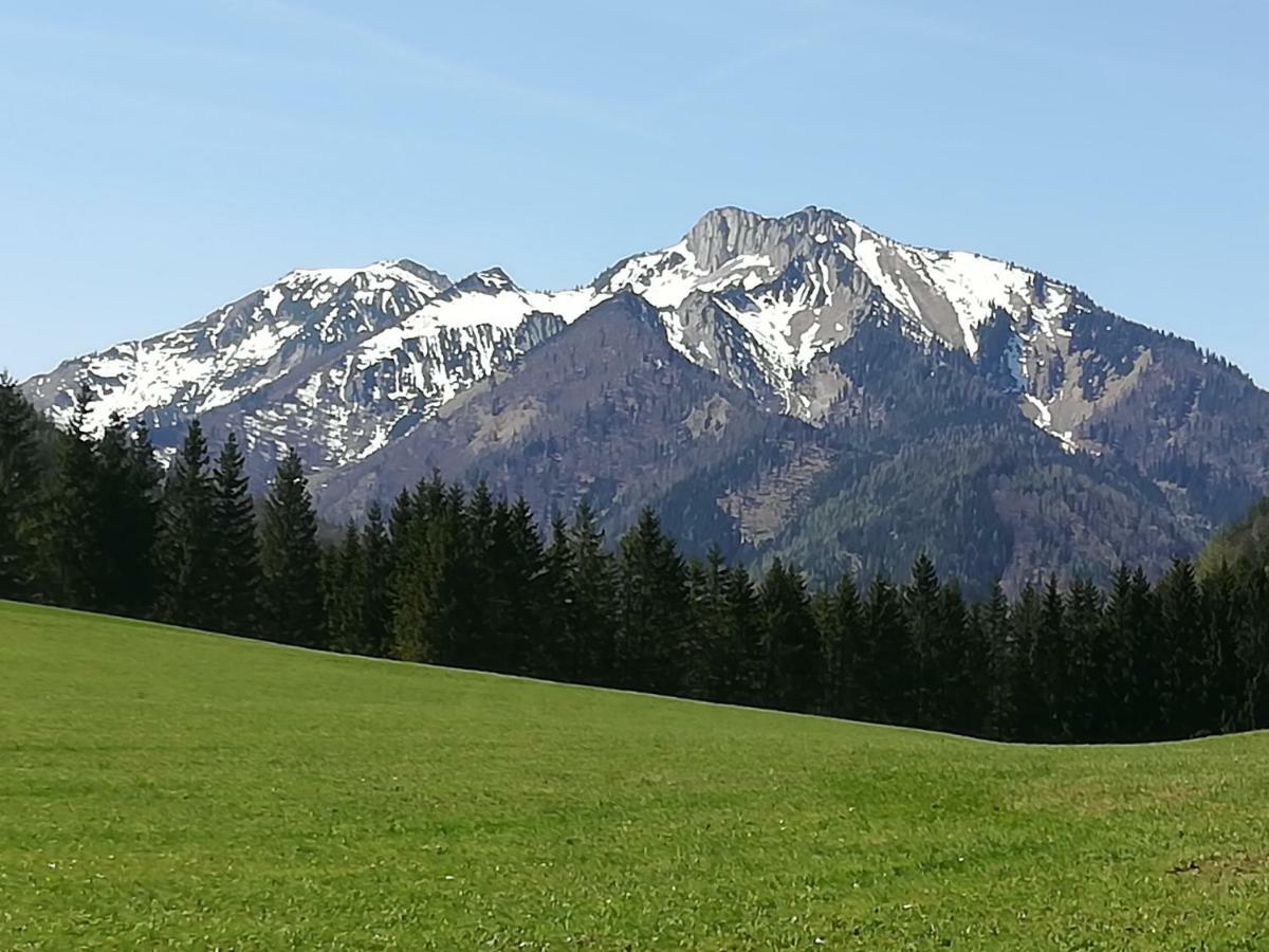 Haring Hollenstein an der Ybbs