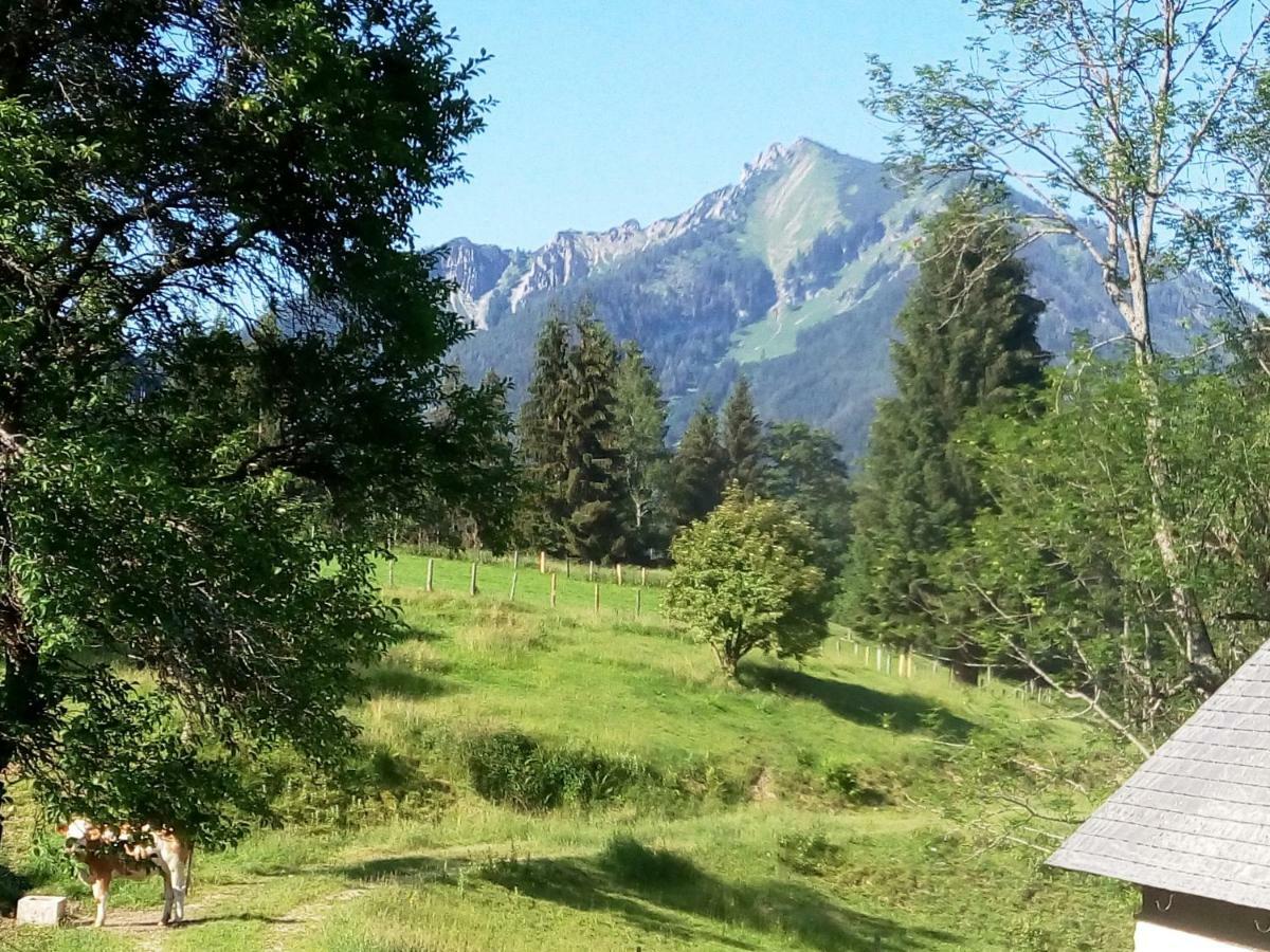 Haring * Hollenstein an der Ybbs